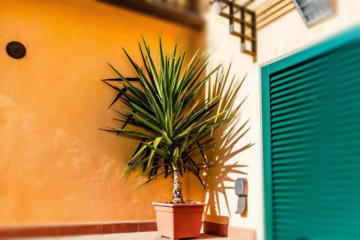 Advocata Nostra Siena Exterior foto